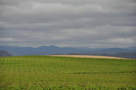 Região de San Tomás, área de produção dos melhores vinhos do México (próximo à Enseñada, na Baja California)